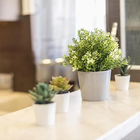 Rigas In Ilioupoli Appartement *